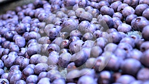 Organic blueberries in widescreen size