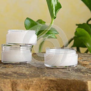 Organic body/face creams, natural wellness beauty products