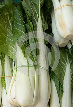 Organic Bok Choy