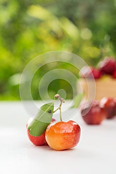 Organic Brazilian Acerola Fruit small cherry.