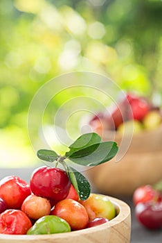 Organic Brazilian Acerola Fruit small cherry.