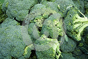 Organic Broccoli