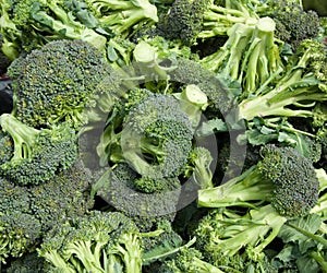 Organic Broccoli