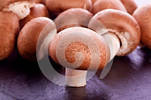 Organic brown champignon mushrooms