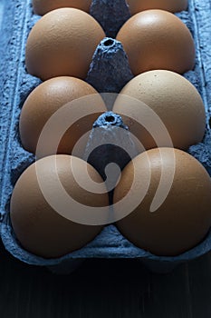 Organic brown chicken eggs in carton