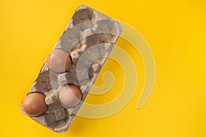 Organic brown chicken eggs in carton