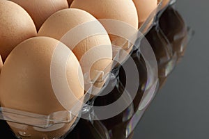 Organic brown eggs in tray