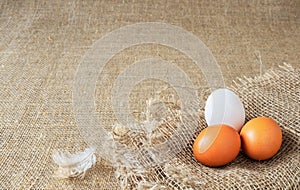 Organic brown and white eggs of chicken uncooked freshness nutrition on flaxen , brown sack for background texture. soft focus,