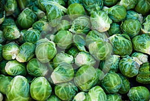 Organic Brussels Sprouts photo