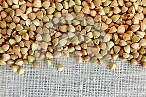 Organic buckwheat seeds on white rustic fabric