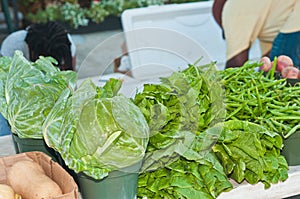 Organic cabbage, kale and string beans