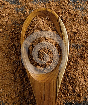 Organic Cacao Powder On Wooden Spoon