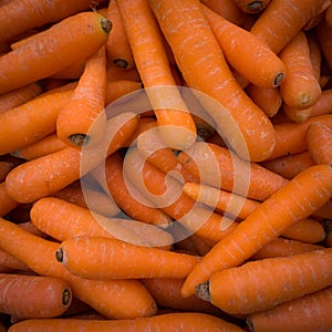 Organic carrot.Carrots. Fresh organic carrots. Background texture of carrots.