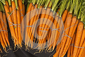 Organic Carrots