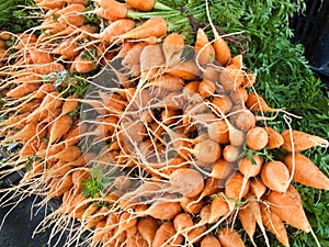 Organic carrots at a farmer`s market