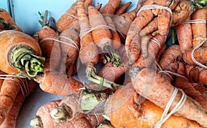 Organic carrots in Ruteng, Flores Island, Indonesia photo