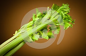 Organic celery. Celery stalk with leaves