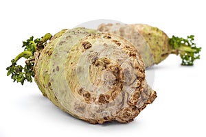 Organic celery roots