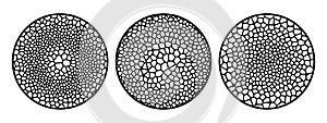 Organic cells radial pattern set. Vector grid mesh elements for design.