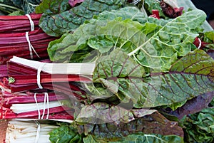 Organic Chard