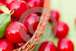 Organic Cherries in a Basket