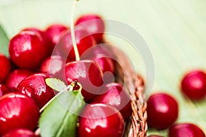 Organic Cherries in a Basket