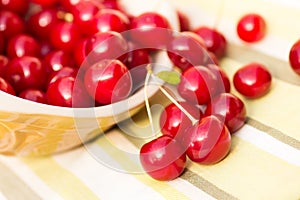 Organic Cherries in a Bowl