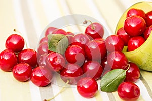 Organic Cherries in a Bowl