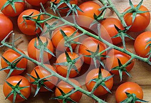 Organic cherry tomato