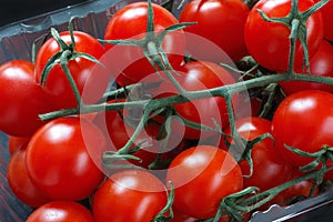 Organic cherry tomatoes