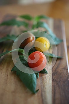 Organic Cherry Tomatoes