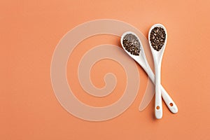Organic chia seeds in two ceramic spoons - Salvia hispÃÂ¡nica photo