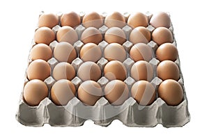 Organic Chicken eggs in carton box isolated on white