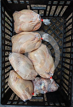 Organic Chickens Packed Abattoir