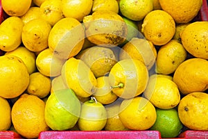 Organic citrons from Portugal photo