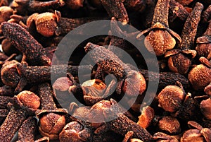 organic clove, also to use as background