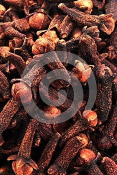 organic clove, also to use as background