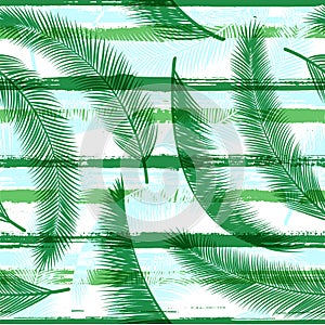 Organic coconut palm leaves tree branches