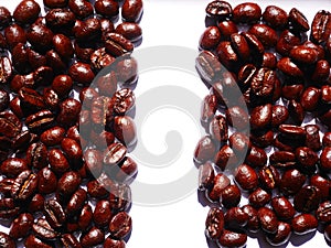 Organic Coffee beans isolated white background, coffee seed