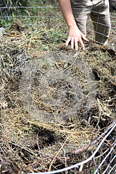 Organic composter. People are making bio composter bin in a yard