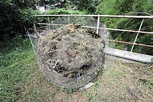 Organic composter. People are making bio composter bin in a yard