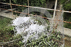 Organic composter. People are making bio composter bin in a yard