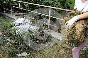 Organic composter. People are making bio composter bin in a yard