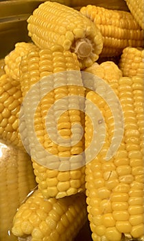 Organic corn pieces steamed and ready