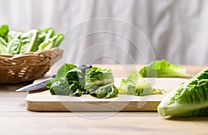 Organic cos romaine lettuce on cutting wooden board