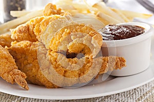 Organic Crispy Chicken Strips