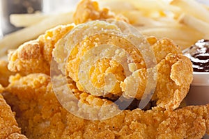 Organic Crispy Chicken Strips