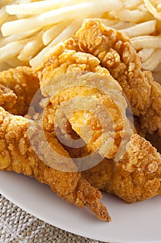 Organic Crispy Chicken Strips