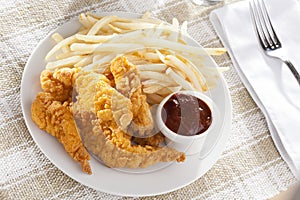 Organic Crispy Chicken Strips