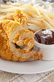 Organic Crispy Chicken Strips